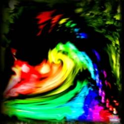 Camel Of Doom : The Diviners Sage Camel Of Doom : The Diviners Sage